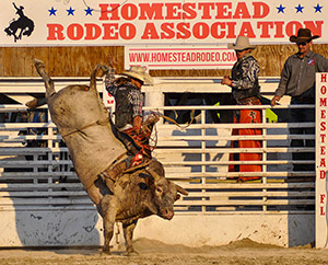 Ernie Courson - Pro Bull Rider - Homestead Rodeo 2020